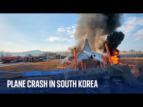 At least 151 people killed as plane crashes while landing at South Korea airport