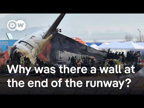 South Korea plane crash: What do the experts say? | DW News