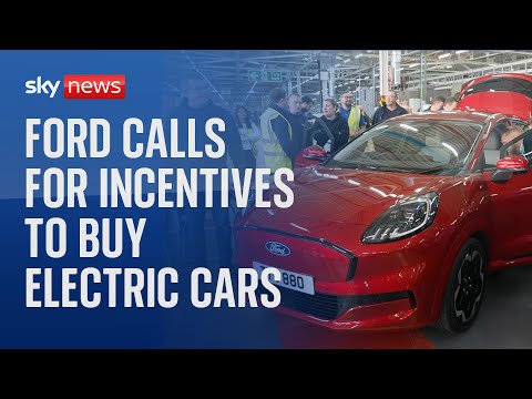 Ford’s UK boss demands taxpayer incentives of thousands of pounds to drive electric future