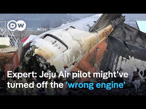 Aviation expert: Pilot might’ve turned off ‘wrong engine,’ leading to South Korea plane crash