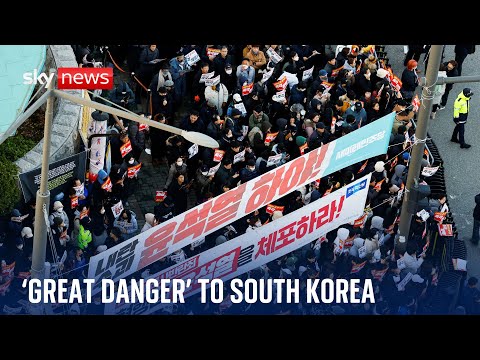 South Korea’s ruling party leader calls for suspension of president over martial law attempt
