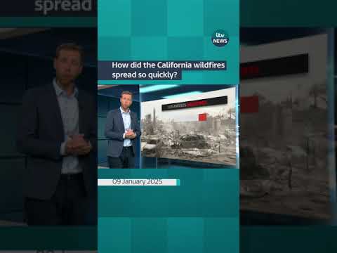 How did the California wildfires spread so quickly? #itvnews #wildfires #california
