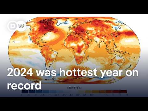 New data confirms 2024 is the first year to exceed 1.5°C above pre-industrial level | DW News
