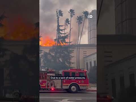 Explainer: What triggered the LA wildfires? | DW News