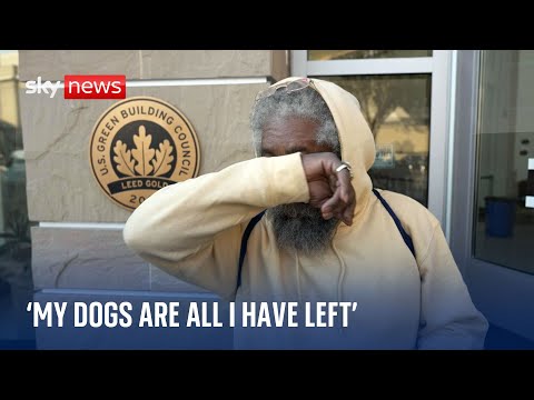Heartbreak for Los Angeles residents who fled the flames – some with just their pets