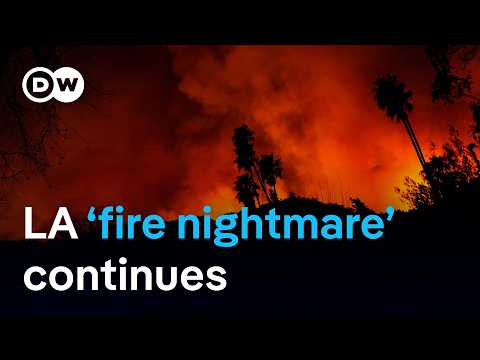 LA fires: Governor orders probe of water problems | DW News