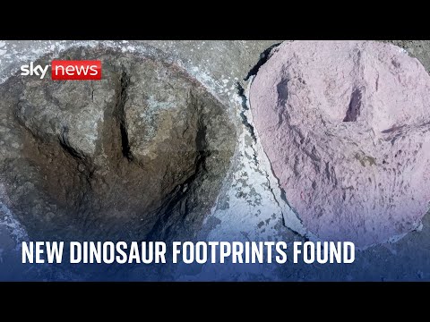 UK’s biggest ever dinosaur footprint site found in Oxfordshire quarry