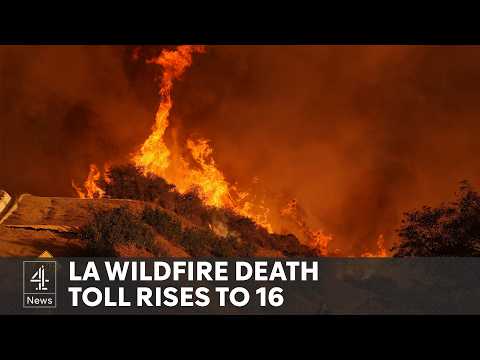 LA fires: firefighters battle to contain three fires