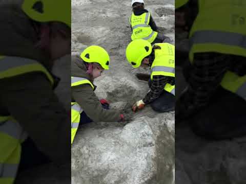 UK dinosaur footprints discovered