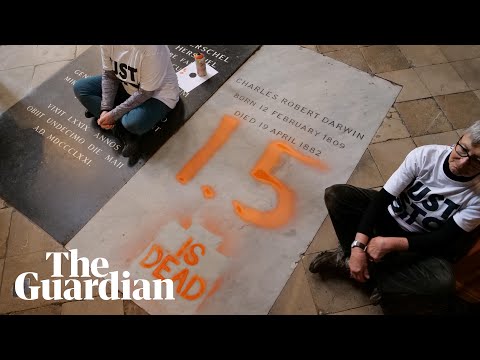 ‘1.5 is dead’: Just Stop Oil activists paint over Charles Darwin grave