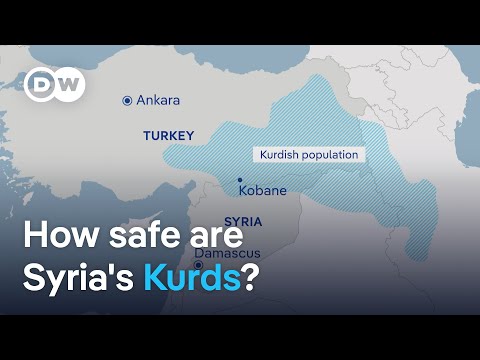 Do Kurds on Syrian border have reason to fear Turkish annexation? | DW News