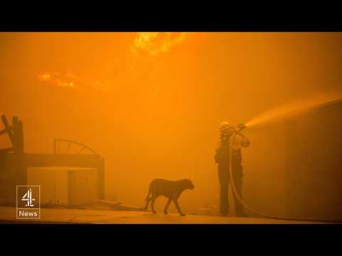 LA fires: 24 dead and 20 people still missing