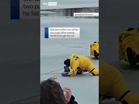 Dog and woman rescued from frozen pond