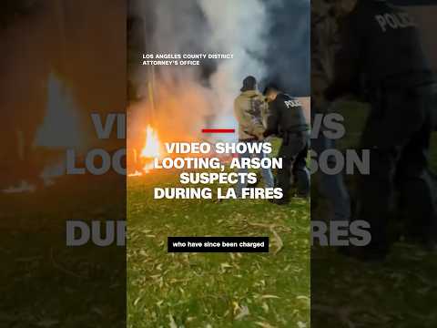 Video shows looting, arson suspects during LA fires