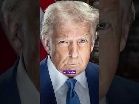 Trump inaugeration portrait echoes mugshot