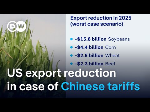 US farmers fear China’s response to Trump’s planned tarrifs | DW News