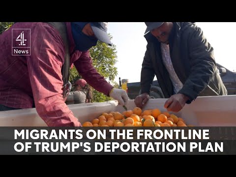 Undocumented migrants fear Trump’s ‘largest deportation programme’