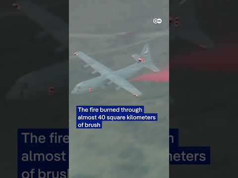 New wildfire forces tens of thousands to evacuate North of Los Angeles | DW News