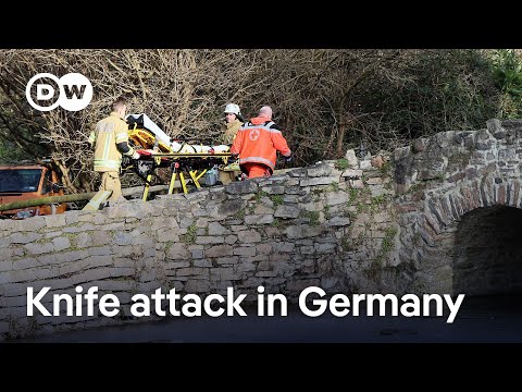 41-year-old man and 2-year-old boy killed in stabbing attack in Germany | DW News