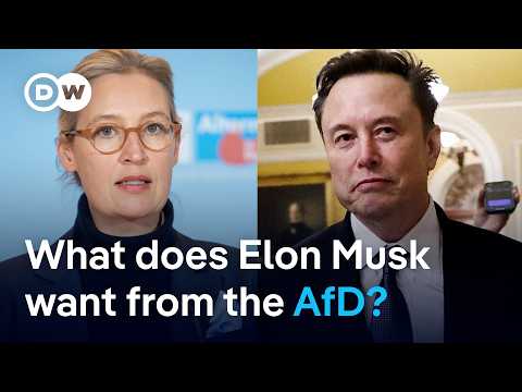 Why Elon Musk interferes in politics around the world | DW News