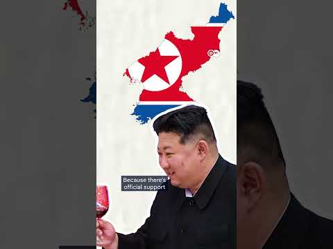 How Russia fits into North Korea’s luxury beach plans | Mapped Out