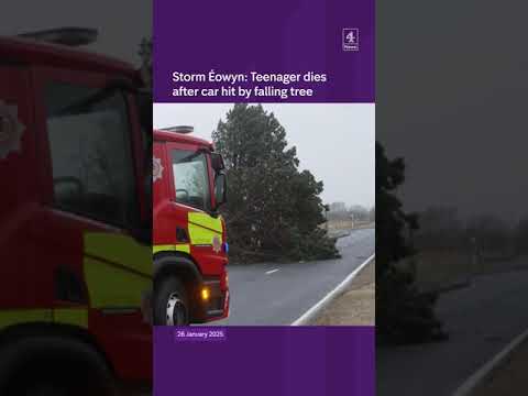 Storm Éowyn: Teen dies after car hit by tree