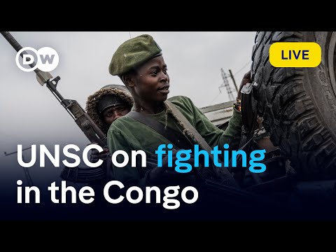 Watch live: UN security to discuss fighting in the DRC | DW News