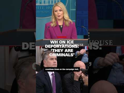 White House on ICE deportations: ‘They are criminals’