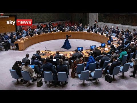 UN Security Council meeting on the situation in the Democratic Republic of Congo