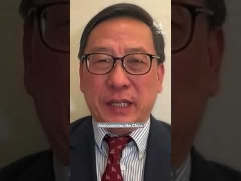 ‘AI is not American intelligence’