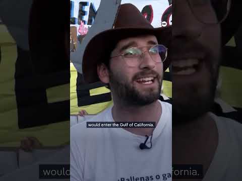Protests in Mexico against a US project to transport gas from Mexico to Asia | DW News