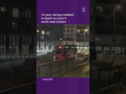 Teenager stabbed to death on London bus