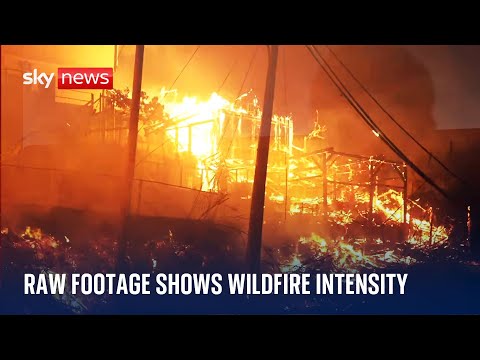 Raw footage captures horror of Los Angeles wildfires