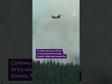 Chile declares state of emergency over fast-spreading wildfires