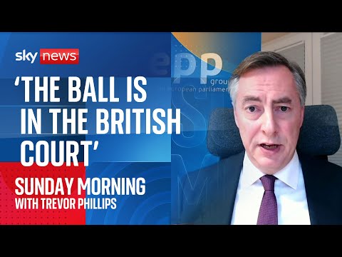 ‘The ball is in the British court,’ says MEP on closer relationship with EU