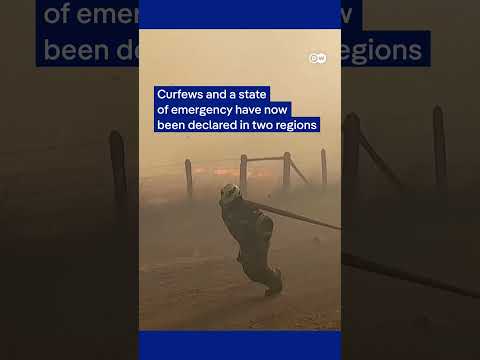 Devastating wildfires in Chile’s south exacerbated by strong winds and dry conditions | DW News