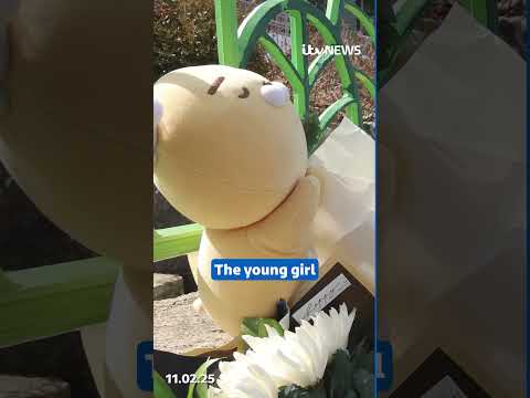 Update on teens dead after TikTok challenge – Olivia has today’s edition of The Rundown #news