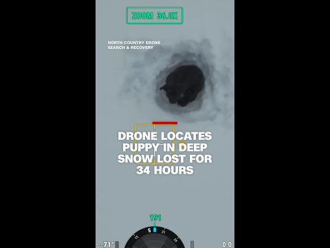 Drone locates puppy in deep snow lost for 34 hours