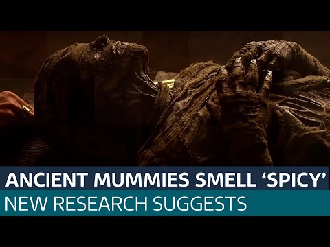 ‘Spicy’, ‘sweet’, ‘woody’: Why researchers are sniffing ancient Egyptian mummies | ITV News