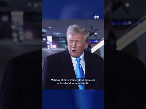 Trump says tariffs will ‘definitely’ hit the EU | DW News