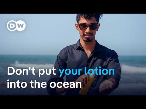 How thousands of tonnes of sun-blocking chemicals end up in the ocean every year | DW News