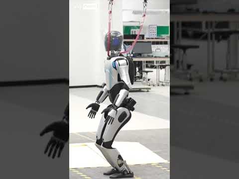 Humanoid robots take on chores