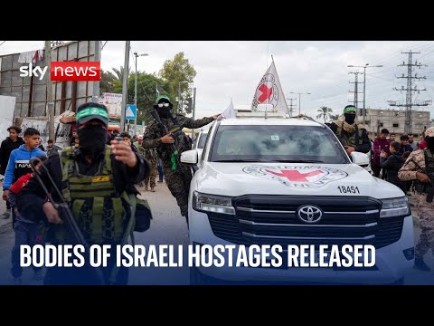 Israeli government spokesperson holds news conference as four hostages are released by Hamas