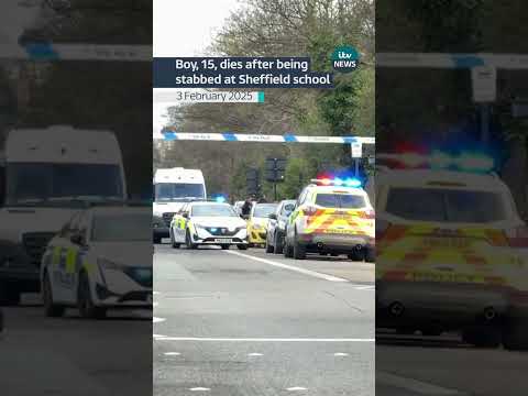 Murder arrest after boy stabbed to death at All Saints Catholic High School in Sheffield ITV News