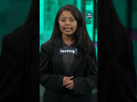 Secret filming inside dog testing premises sparks petition