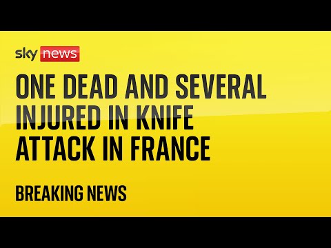 One dead and several police officers injured in France knife attack
