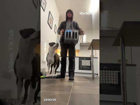 Why you shouldn’t try this TikTok trend #itvnews #news #dropchallenge