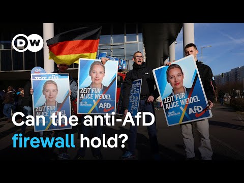 What’s behind the rise of far-right parties like the AfD | DW News