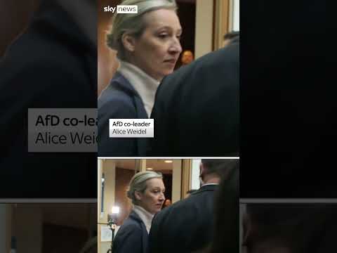 Weidel says firewall against AfD  is ‘completely undemocratic’