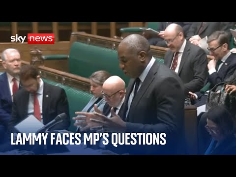 Lammy questioned about Russia, Ukraine and the Middle East in the Commons